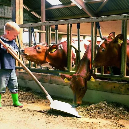 Onkel Hannes * Hasselberg