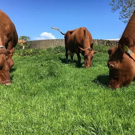 Onkel Hannes Apartman Hasselberg