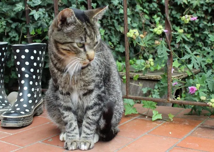 Apartamento Onkel Hannes *